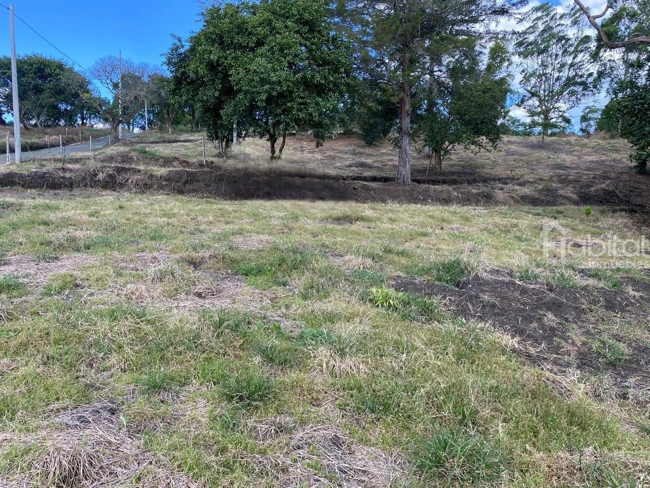 LOTE CAMPESTRE SECTOR LAS MARGARITAS