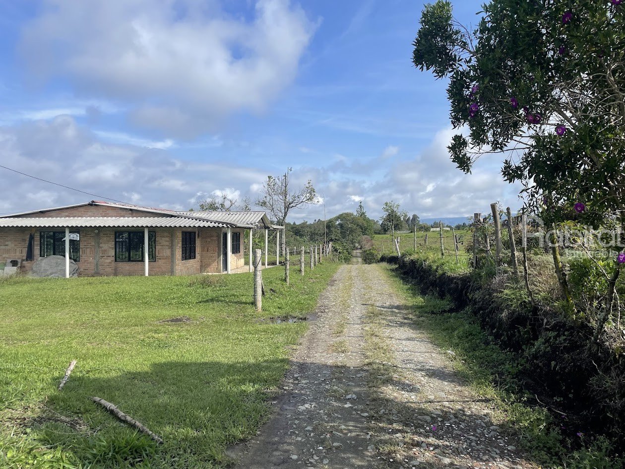 LOTE EN CALIBIO BORANZA