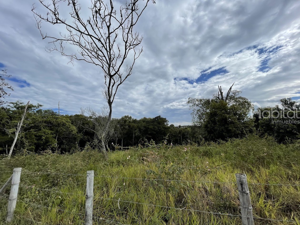 LOTES EN CANTA CLARO