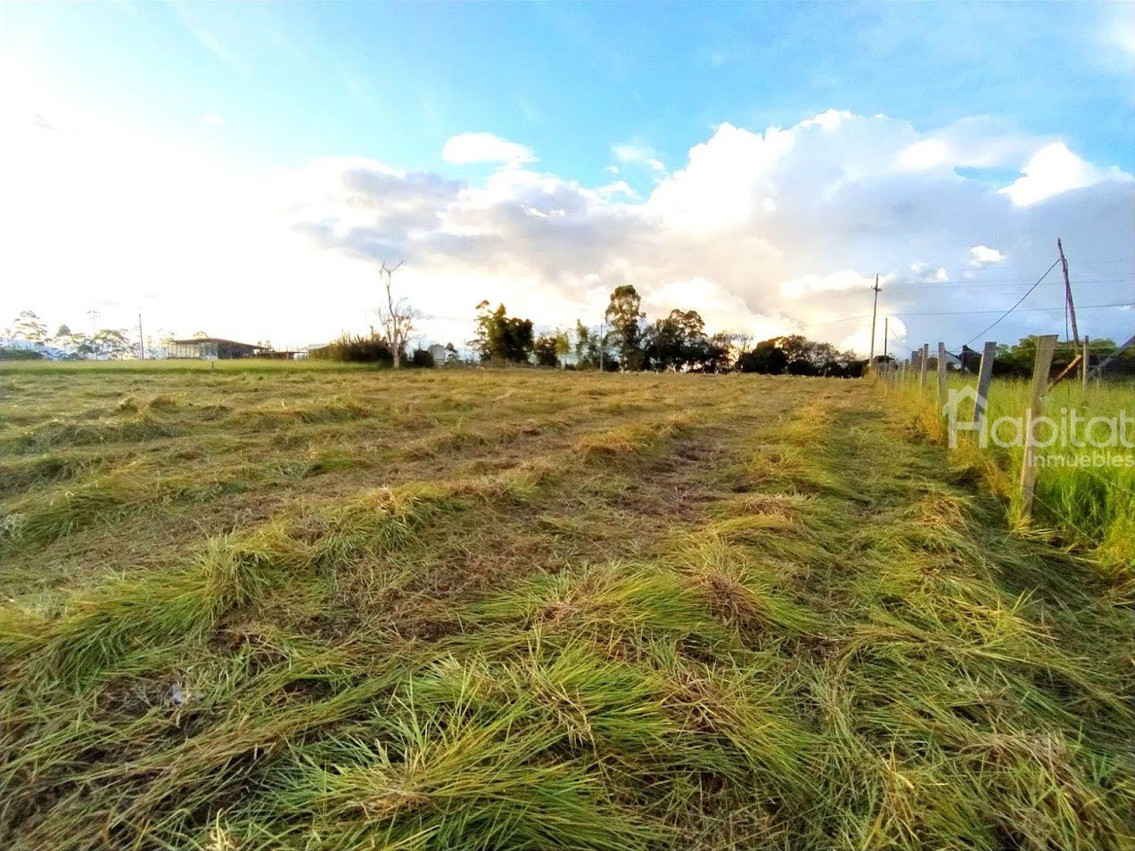 SAN CRISTOBAL CAMPESTRE