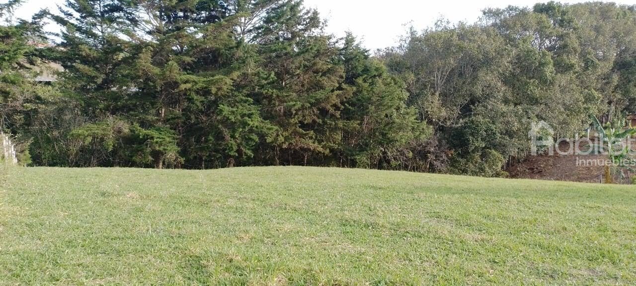 LOTE POR EL PARADOR LA FRESA