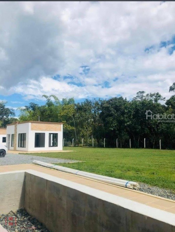 LOTES LAS MARGARITAS