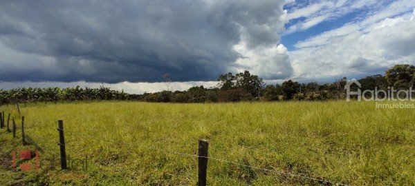 BOSQUES DE SAN CAMILO – SANTA ROSA