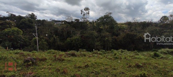 LLANOS DE SAN ESTEBAN
