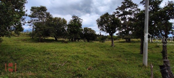 PARCELACION SAN ANTONIO