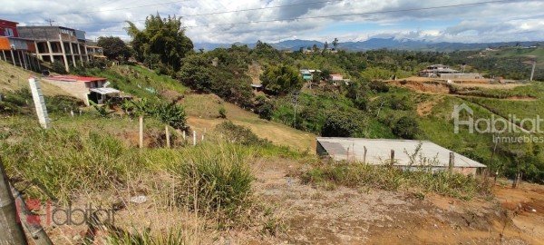 LOTE EN LA VEREDA DE TORRES