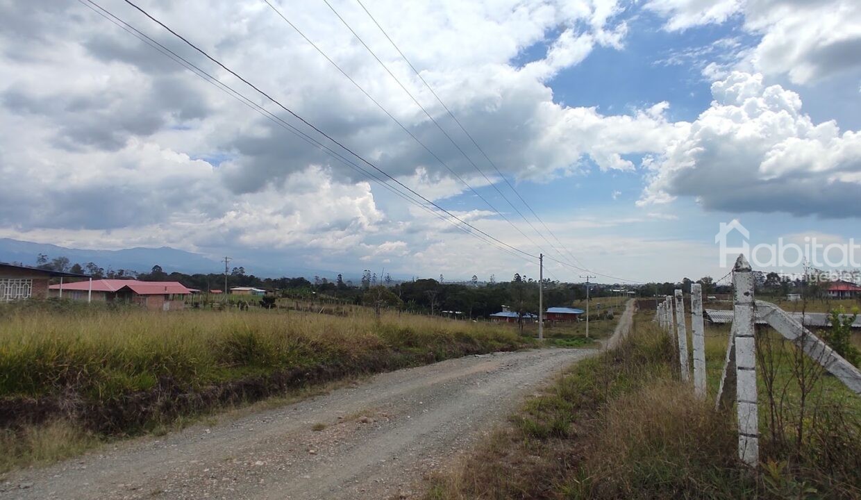 IMG_20231010_133819