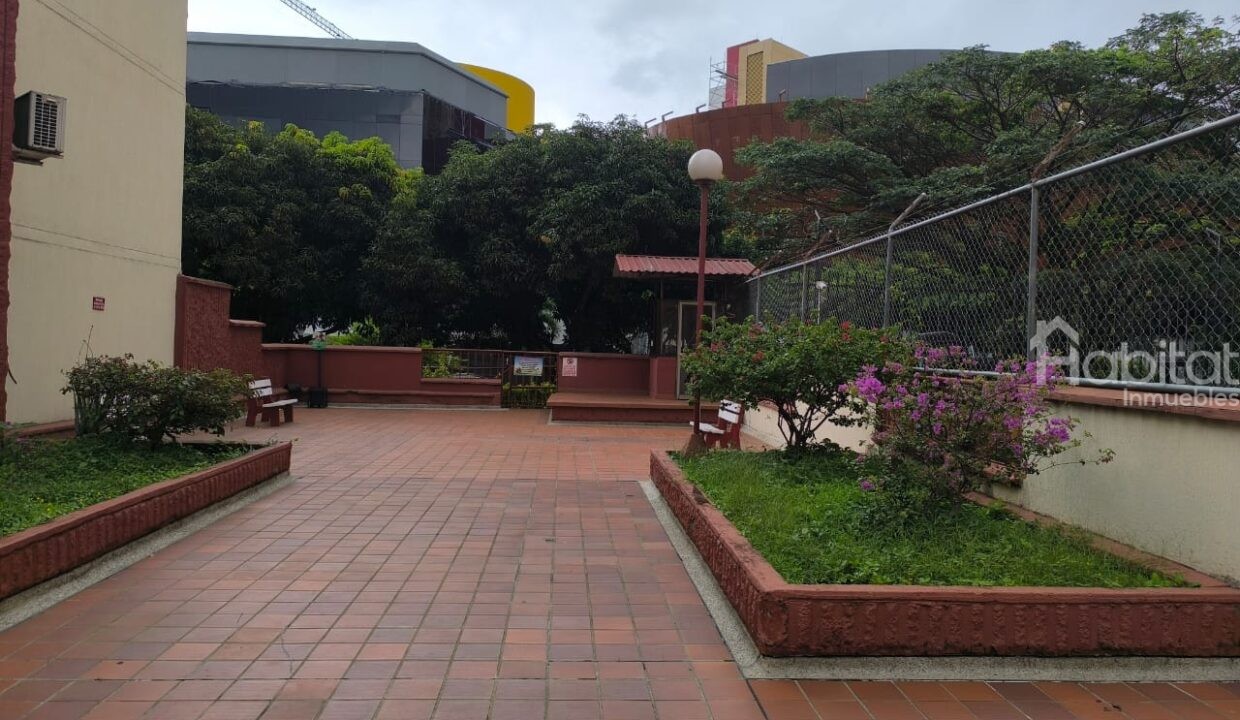 IMG-20250325-WA0019
